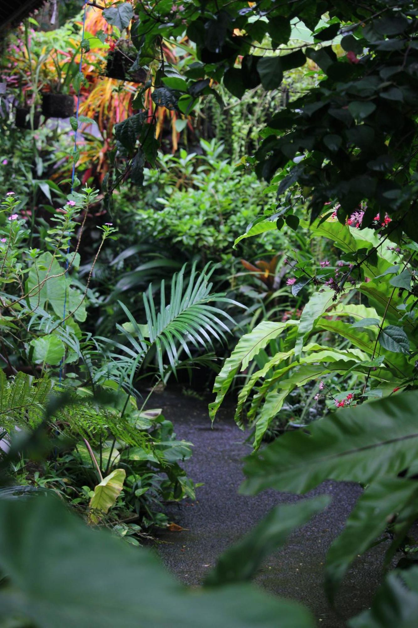 Sari Gong Guest House, A Trishula Collection Ubud Exterior foto