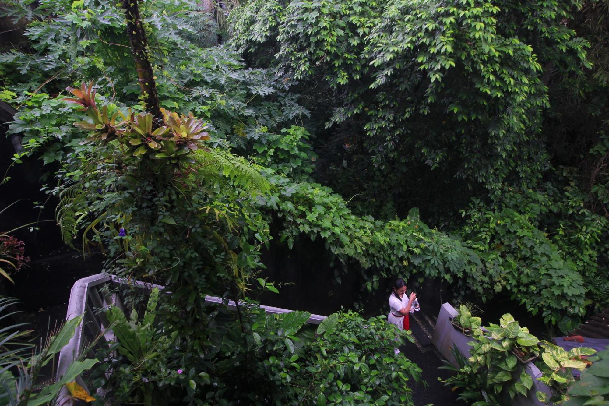 Sari Gong Guest House, A Trishula Collection Ubud Exterior foto