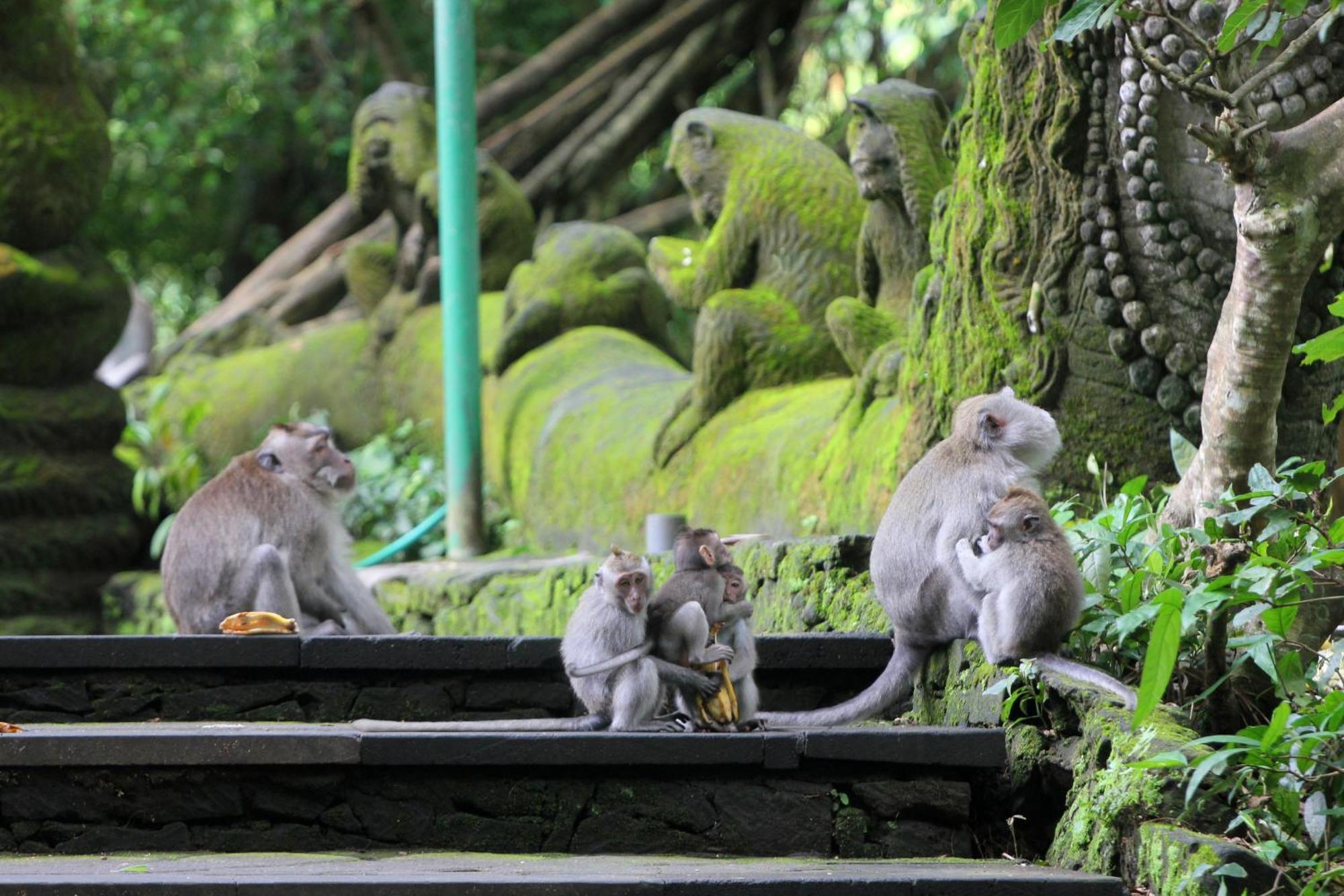 Sari Gong Guest House, A Trishula Collection Ubud Exterior foto